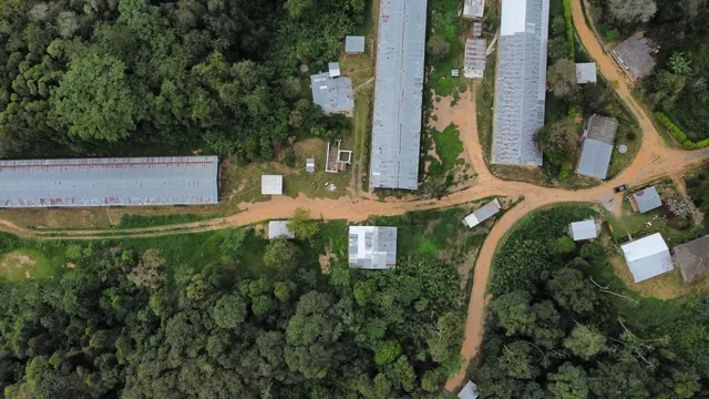 Vista aérea de una granja avícola donde IT Energy instaló cámaras y enlaces